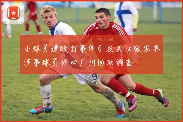 小球员遭殴打事件引发关注张家界涉事球员将回广州协助调查