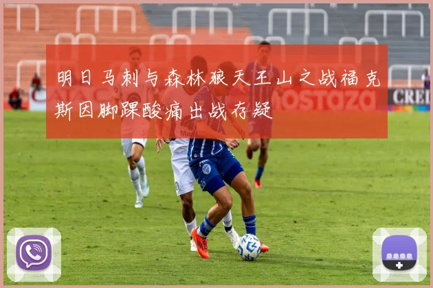 明日马刺与森林狼天王山之战福克斯因脚踝酸痛出战存疑